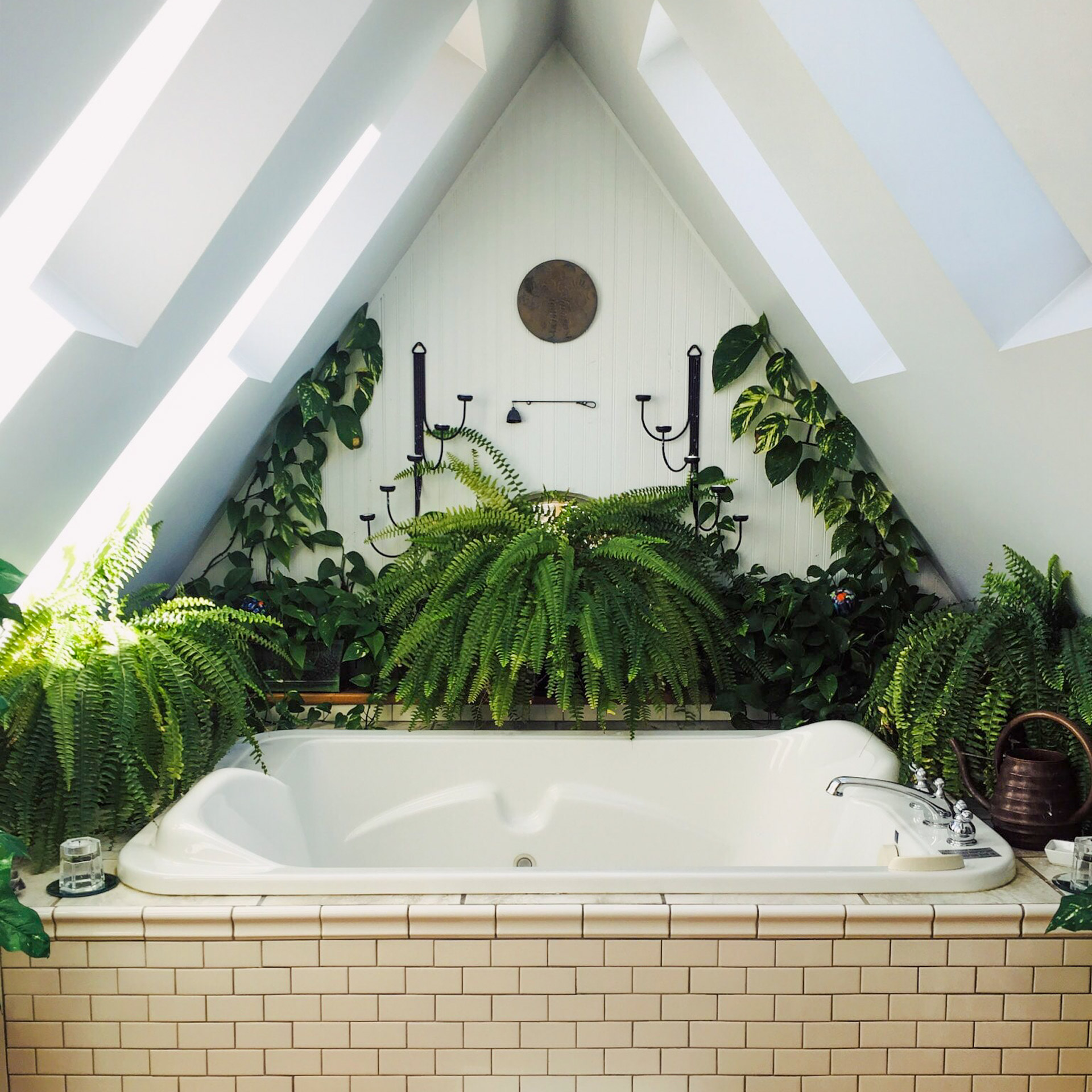 decoracion-con-plantas-interiorismo